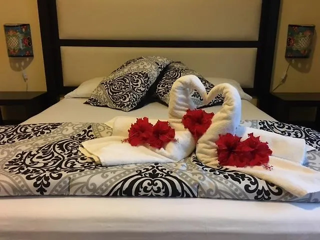 プエルト・モレロス Casa Alegria Bed & Breakfast